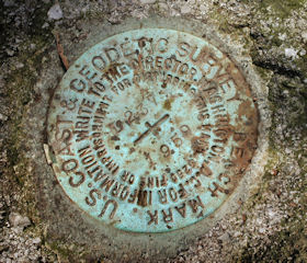 NGS Bench Mark Disk L 237