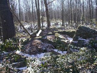 Looking S, from Telephone Trail.