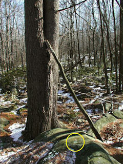 Orientation view to the southeast, mark indicated.