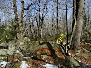 Orientation view to the northeast, mark indicated.