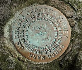 NGS Bench Mark Disk M 237