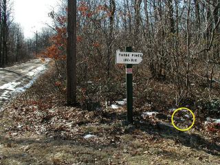 View south to powerpole and sign, mark indicated.