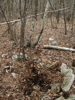 Orientation view, facing easterly.