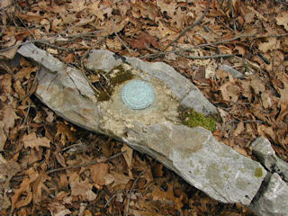 Eye-level view of the mark on the outcrop.