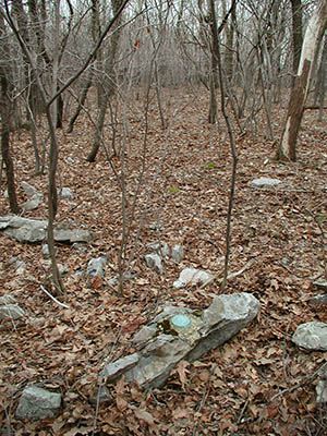 Orientation view, facing SE to station.