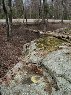 Orientation view, facing west and Rt. 402.