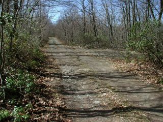 Eyelevel view of station mark and setting.