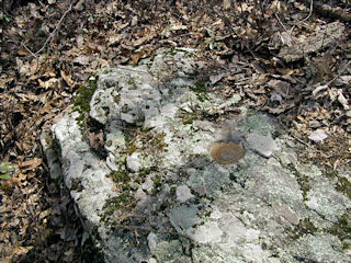 Eyelevel view of the disk in the boulder.