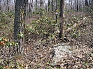 'BM' painted on tree just several feet from the boulder.