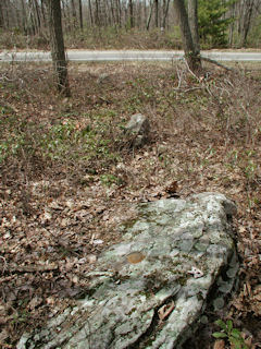 Orientation view, facing west and Rt. 402.