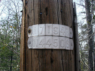 The mark is approximately 171 feet south along Route 402 from this pole (measured along the road shoulder).