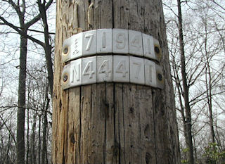 The mark is approximately 182 feet north along Route 402 from this pole (measured along the road shoulder).