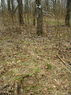 Looking W toward witness sign on tree.