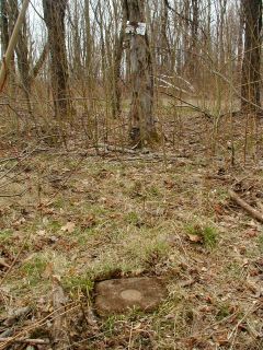 Orientation view, facing west and witness marker.