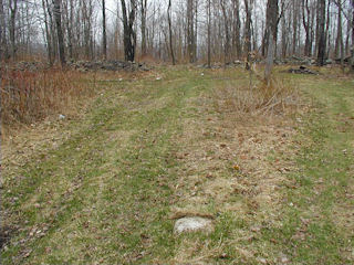 Looking N toward fence line.