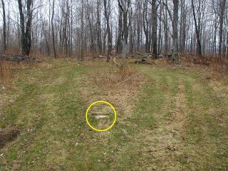 Orientation view, facing NNE and rock fenceline.