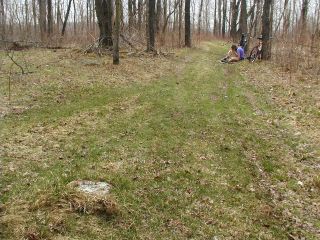 View south, woods trail, Zhanna checks datasheet.