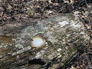 Eye-level view of the mark on the boulder.