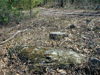 Looking S toward the track road.