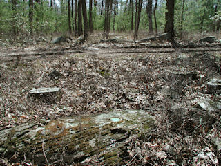 Orientation view, facing southwest and track road.