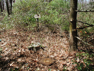 Orientation view, facing west and witness post.