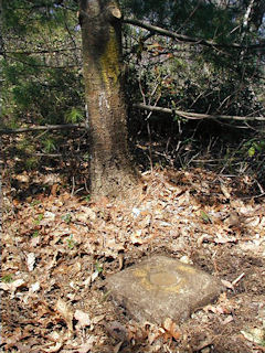 The monument and a closer look at a nearby tree that bears a painted blaze.