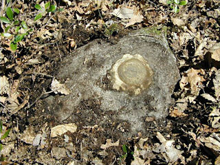 Eye-level view of the mark on the outcropping.