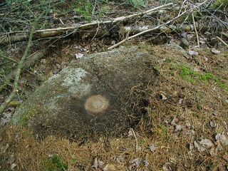 Eyelevel view of the mark on the boulder.