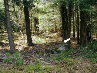 Looking W from Spring Road, mark indicated.