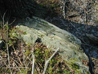 Eyelevel view of the disk on the boulder.