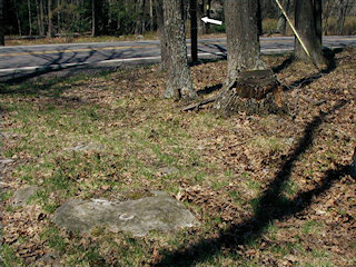 Looking NE toward telephone pole #203 (indicated) and Rt. 390.