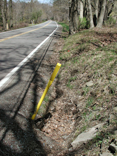 Stone culvert, facing northerly along Rt. 390.