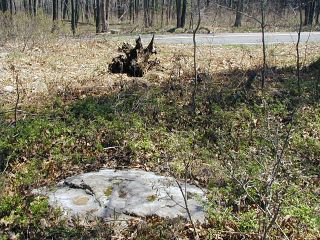 Facing E, toward Route 390.