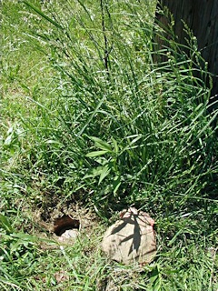 Eye-level view of the marker in the hole.