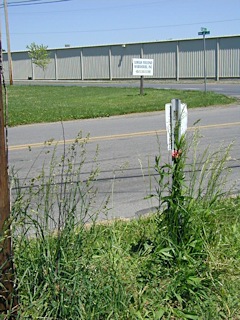 Looking E toward Route 191 and the Lehigh Pocono Warehouse sign.