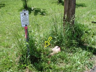 Orientation view, witness sign, mark & powerpole.