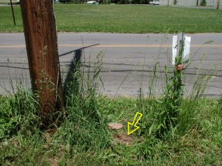 Orientation view, facing northeast to Belfast Rd.