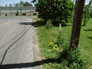 Orientation view, facing southeast to Rt. 191.