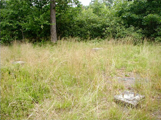 NGS Landmark/Intersection Station DANCING RIDGE FIRE TOWER