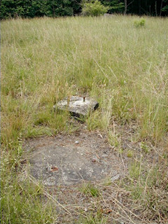 One of the footings, and the base from the stairs.