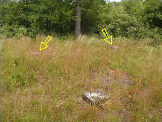 NGS Landmark/Intersection Station DANCING RIDGE FIRE TOWER