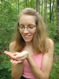 These bright little newts were everywhere.