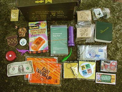 The cache contents as of this visit.