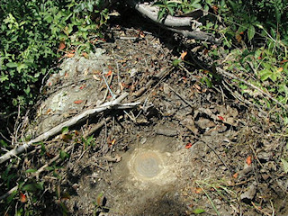 Eye-level view of the mark on the boulder.