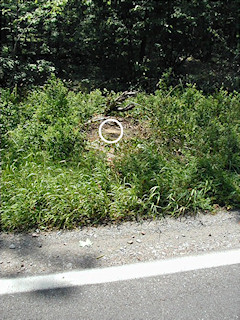 View of the mark on the boulder from the middle of the southbound lane of Route 390