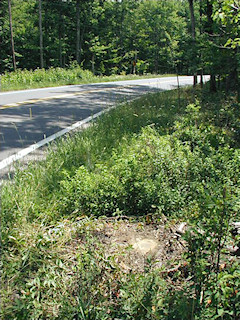 Looking S toward Route 390.