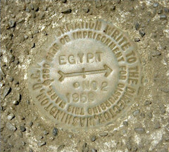 NGS Reference Mark Disk EGYPT RM 2