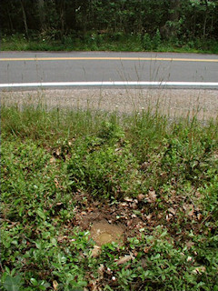 Orientation view, facing northeast and highway.