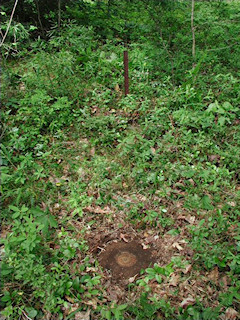 Orientation view, facing west and witness post.