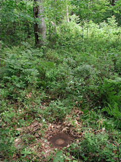 Orientation view, facing RM 1 and powerpole.